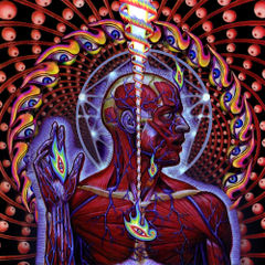 Lateralus