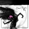 Daniel TOMPKINS - Ruins