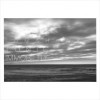 Tonic Immobility TOMAHAWK - Tonic Immobility